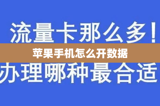 苹果手机怎么开数据