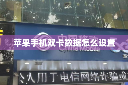 苹果手机双卡数据怎么设置