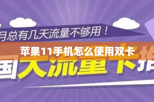 苹果11手机怎么使用双卡