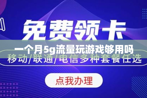 一个月5g流量玩游戏够用吗