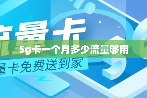 5g卡一个月多少流量够用