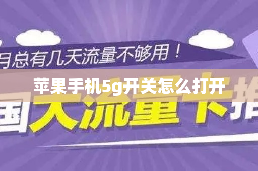 苹果手机5g开关怎么打开
