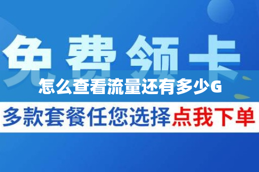怎么查看流量还有多少G