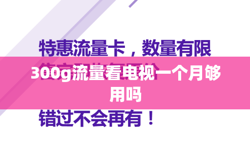 300g流量看电视一个月够用吗