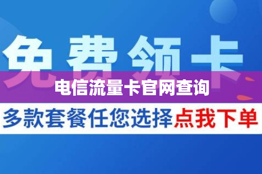 电信流量卡官网查询