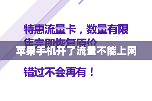 苹果手机开了流量不能上网