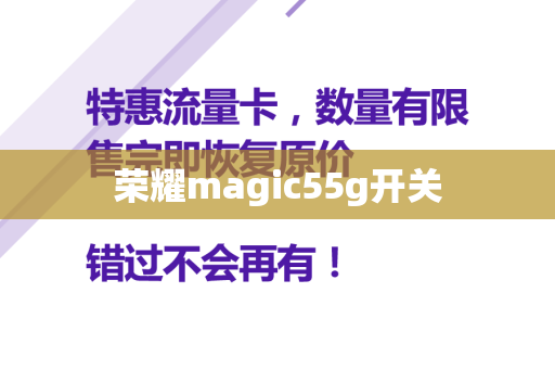 荣耀magic55g开关