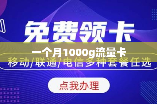 一个月1000g流量卡