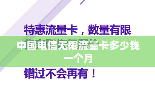 中国电信无限流量卡多少钱一个月