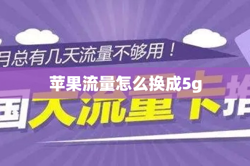 苹果流量怎么换成5g