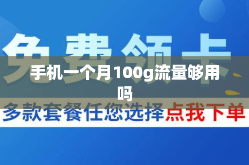 手机一个月100g流量够用吗