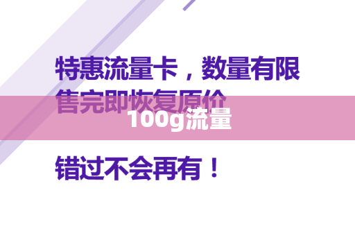 100g流量