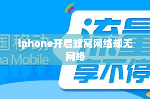 iphone开启蜂窝网络却无网络