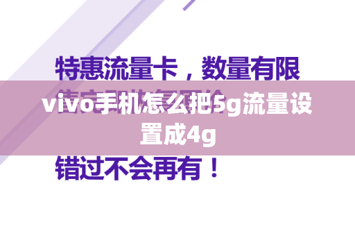 vivo手机怎么把5g流量设置成4g