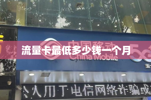 流量卡最低多少钱一个月