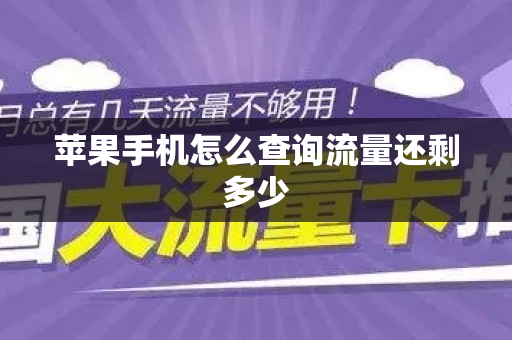 苹果手机怎么查询流量还剩多少