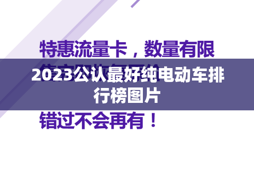 2023公认最好纯电动车排行榜图片