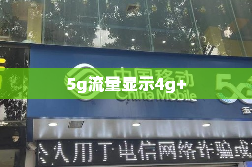 5g流量显示4g+