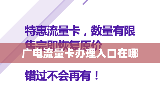 广电流量卡办理入口在哪