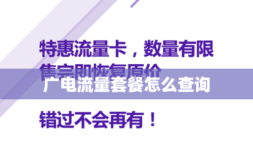 广电流量套餐怎么查询
