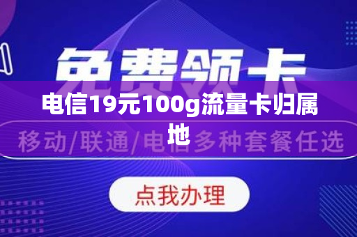 电信19元100g流量卡归属地