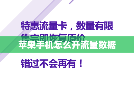苹果手机怎么开流量数据