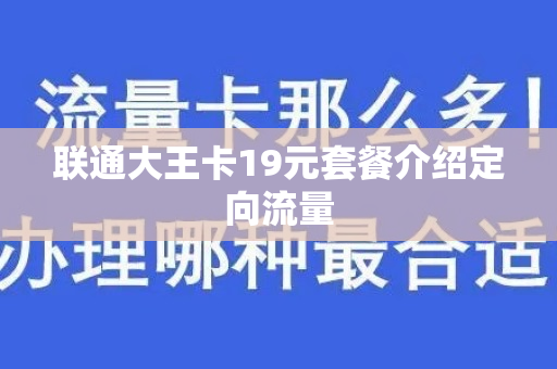 联通大王卡19元套餐介绍定向流量