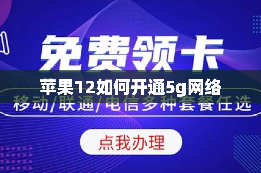 苹果12如何开通5g网络