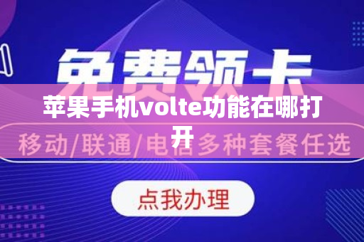 苹果手机volte功能在哪打开