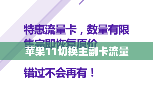 苹果11切换主副卡流量