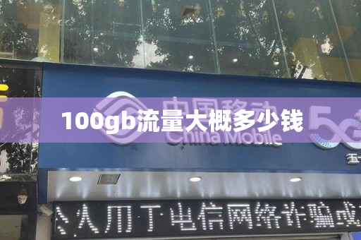 100gb流量大概多少钱