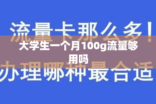 大学生一个月100g流量够用吗