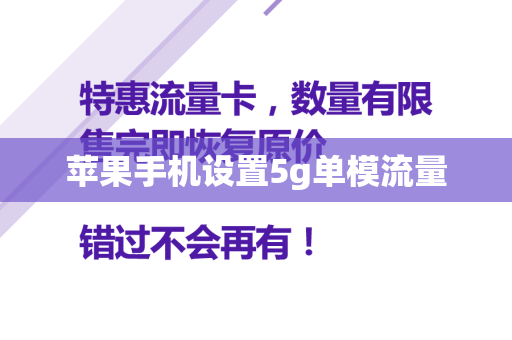 苹果手机设置5g单模流量
