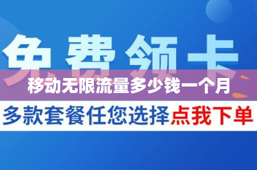 移动无限流量多少钱一个月