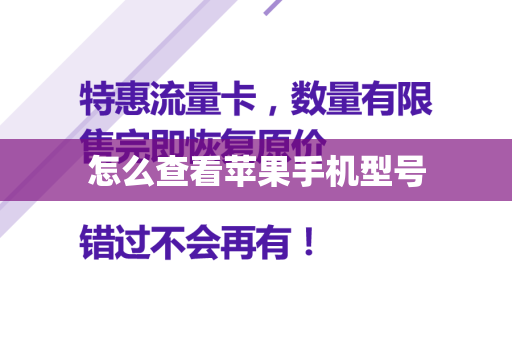怎么查看苹果手机型号