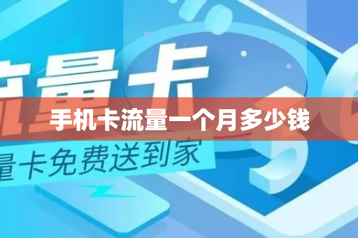 手机卡流量一个月多少钱