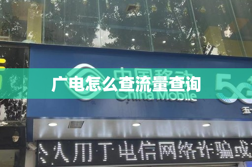 广电怎么查流量查询