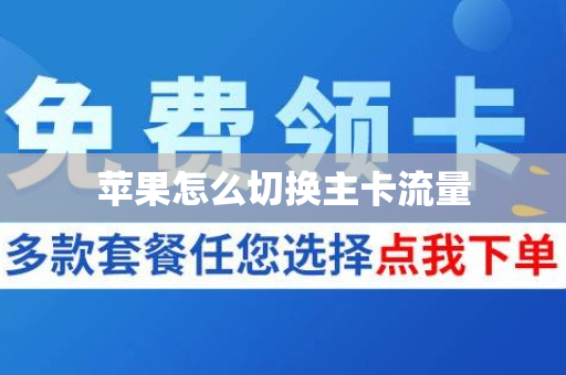 苹果怎么切换主卡流量