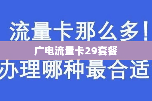 广电流量卡29套餐