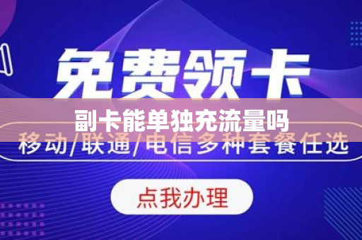 副卡能单独充流量吗