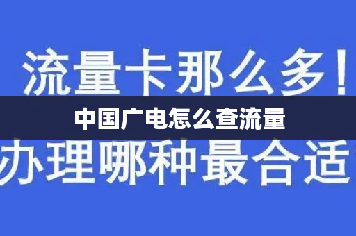 中国广电怎么查流量