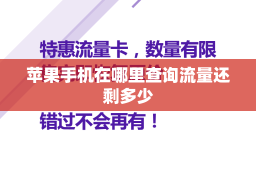 苹果手机在哪里查询流量还剩多少