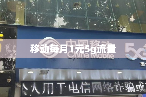 移动每月1元5g流量