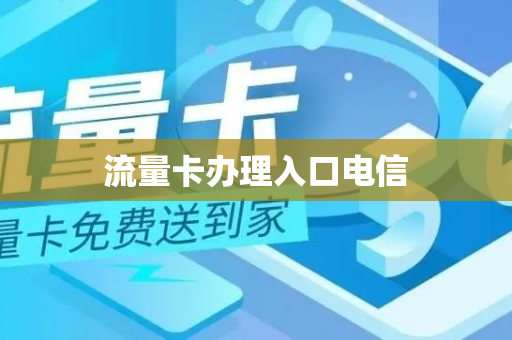 流量卡办理入口电信