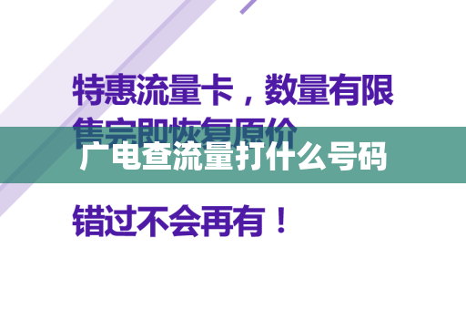 广电查流量打什么号码