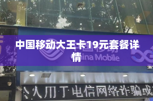 中国移动大王卡19元套餐详情