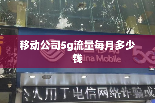 移动公司5g流量每月多少钱