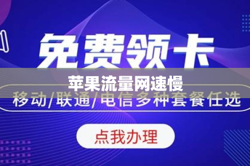 苹果流量网速慢