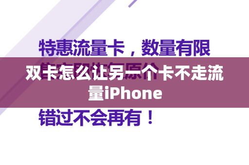 双卡怎么让另一个卡不走流量iPhone