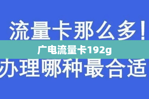 广电流量卡192g